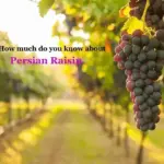 Iranian raisin and 3 types of it that you should know