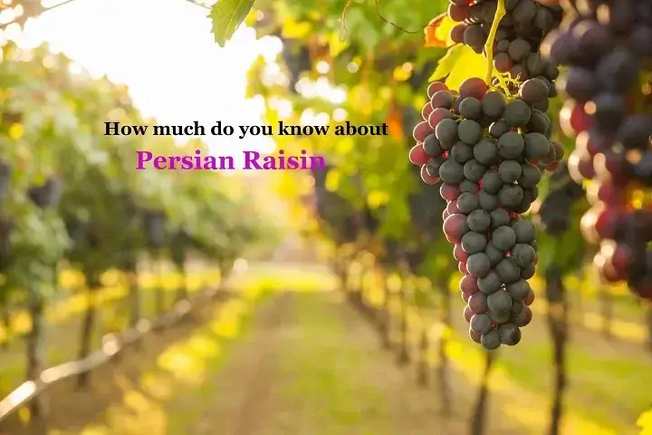 Iranian raisin