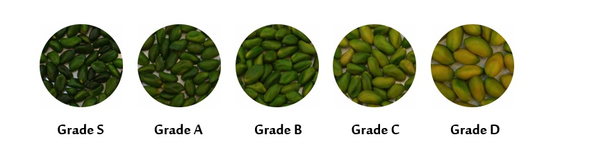 RST-grades-of-green-pistachio-kernel.jpg