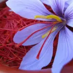 How we can take care of our health by Iranian Saffron